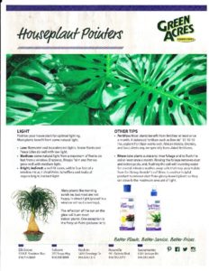 thumbnail of houseplants