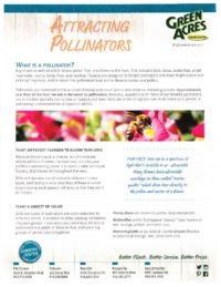 thumbnail of attracting-pollinators