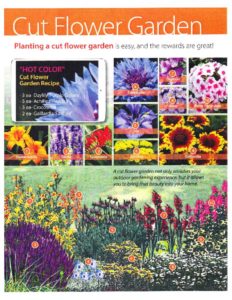 thumbnail of cut-flower-garden