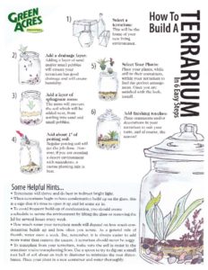 thumbnail of how-to-build-a-terrarium