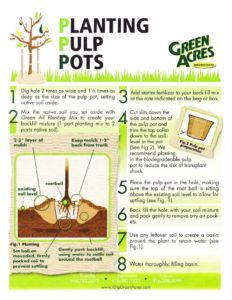 thumbnail of planting-pulp-pots