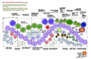 thumbnail of ucdavis-allstar-planting-plan